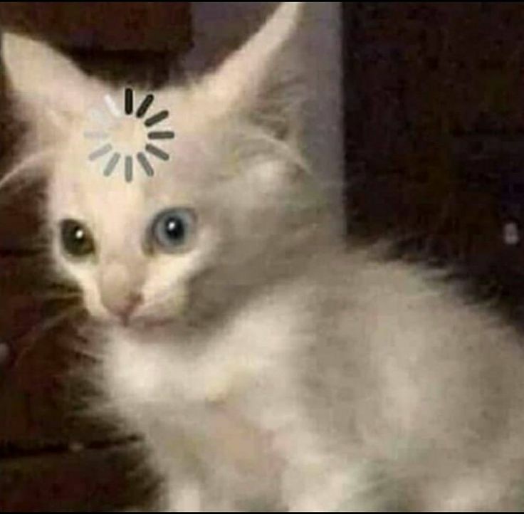 dedizshishki's tweet photo. Привет! Меня зовут Ян, у меня СДВГ невнимательного типа и это тред о том, как я пережил школьные годы со своим диагнозом. Возможно это будет полезно, если у вас тоже СДВГ или просто есть проблемы с вниманием и запоминанием информации. https://t.co/DIO9ELvaqh
