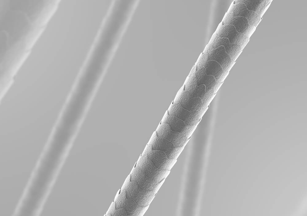 LinusBio (@linusbio) on Twitter photo From baby teeth to a strand of hair: learn about our autism biomarker journey.
Explore our peer-reviewed publications>> linusbio.com/publications/
#autism #research #exposomesequencing #diagnostictests #treatments From baby teeth to a strand of hair: learn about our autism biomarker journey.
Explore our peer-reviewed publications>> linusbio.com/publications/
#autism #research #exposomesequencing #diagnostictests #treatments