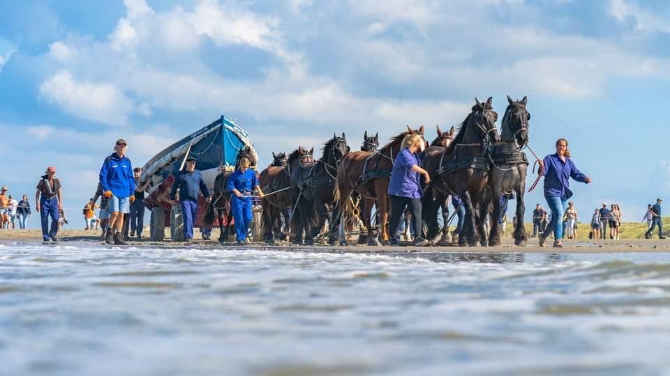 oelavans's tweet photo. Donderdagavond 19:30 uur strand West aan Zee op Terschelling, demonstratie lancering  paarden roeireddingboot. https://t.co/sIQxYlQom8