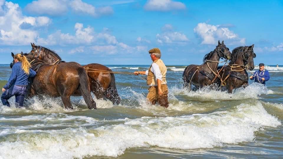oelavans's tweet photo. Donderdagavond 19:30 uur strand West aan Zee op Terschelling, demonstratie lancering  paarden roeireddingboot. https://t.co/sIQxYlQom8