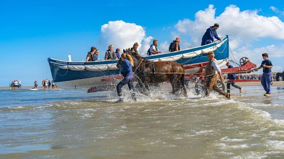 oelavans's tweet photo. Donderdagavond 19:30 uur strand West aan Zee op Terschelling, demonstratie lancering  paarden roeireddingboot. https://t.co/sIQxYlQom8