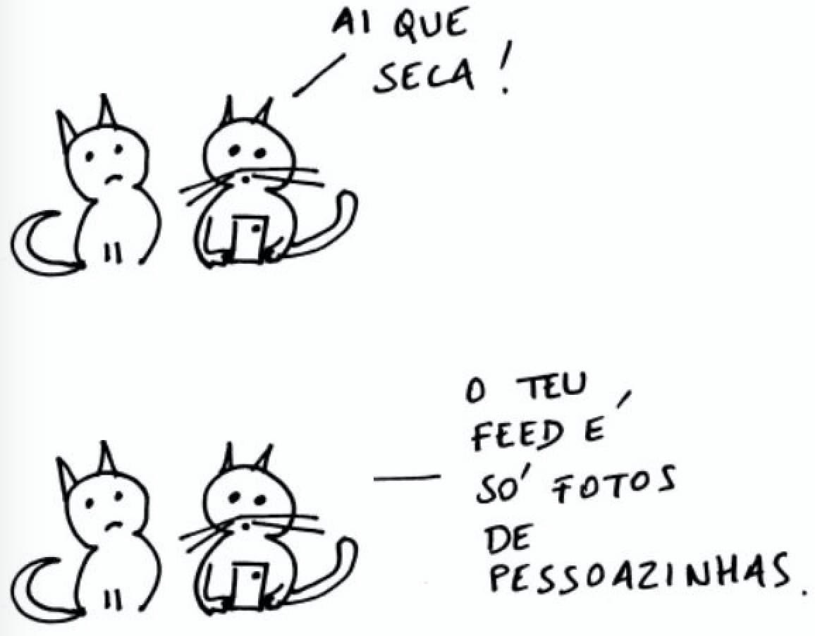 hugovdding's tweet photo. O Instagram dos gatos, no dia mundial deles. https://t.co/vMPEEPI1FK