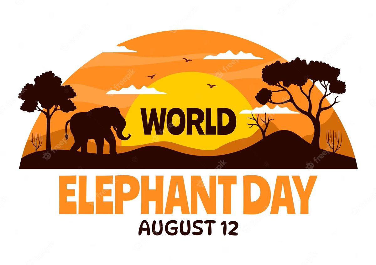 YTLForceForGood's tweet photo. On 12th August 2023 we raise awareness about the importance of elephant conservation. With their habitats under threat and facing poaching challenges, it's crucial that we come together to protect these gentle giants and their ecosystems. https://t.co/sPz8ayD5p7