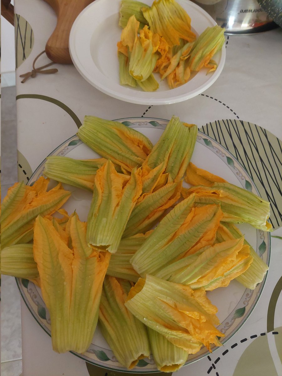 Bene_dica's tweet photo. L'unico mazzo di "fiori" che gradiscono 😋🤤 #dilloconunfiore
#fioriripieni https://t.co/j13kHeyL4g