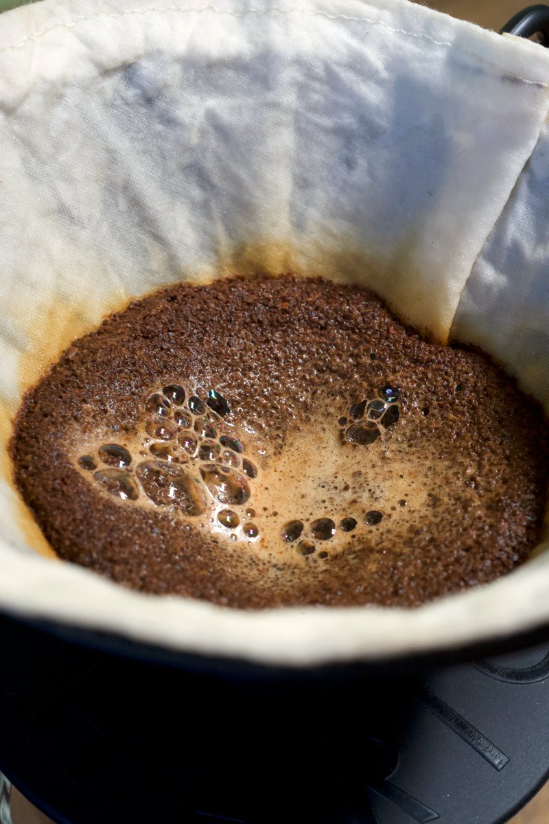 AjiCoffeeTools's tweet photo. When water first comes in contact with coffee beans heaps of the carbon dioxide is released in the form of bubbles, this is called the 'Bloom'.
#coffee #pourover #coffeebloom https://t.co/LxZH2FeZjW