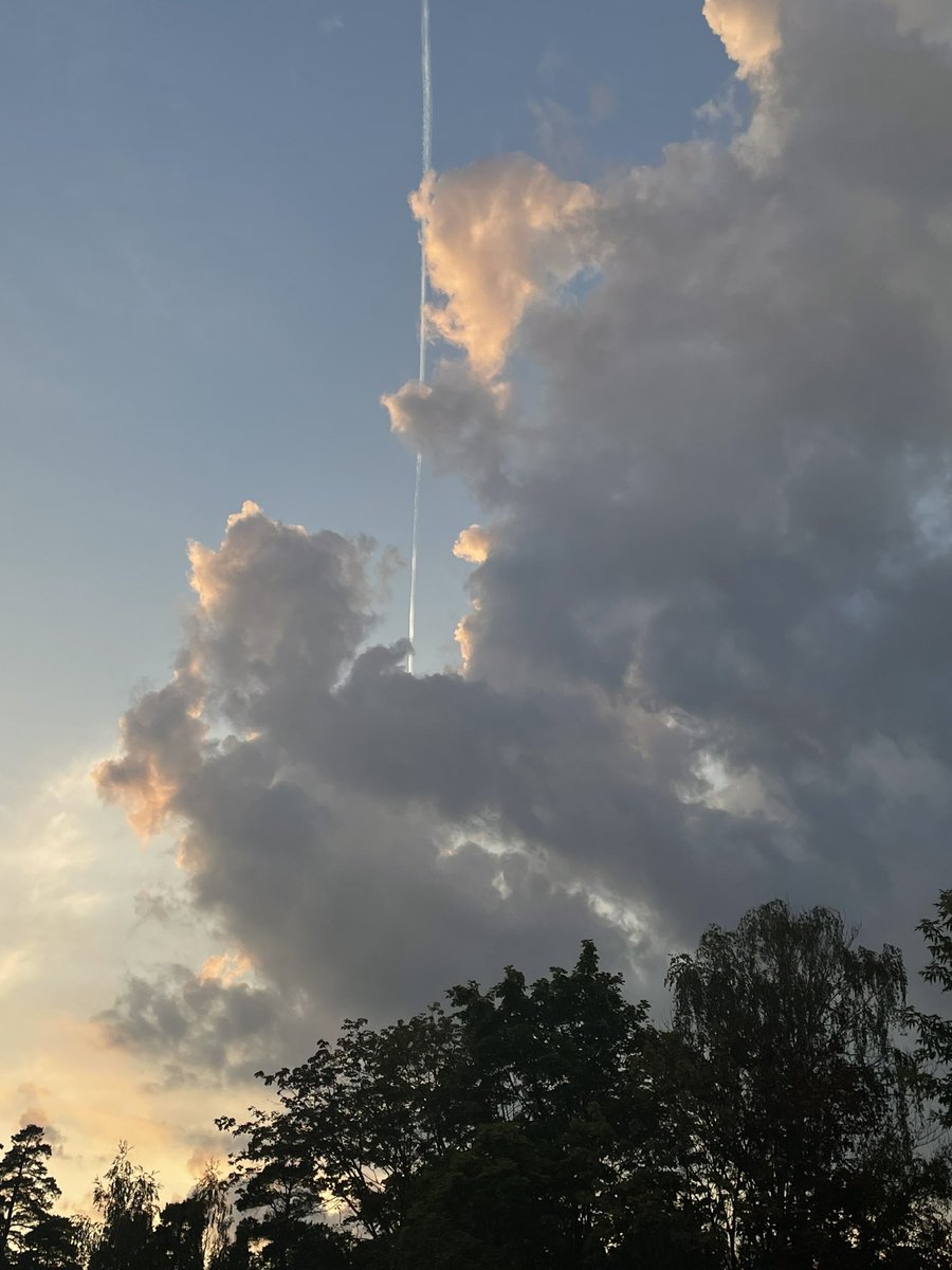 Фикус🍃 tweet media