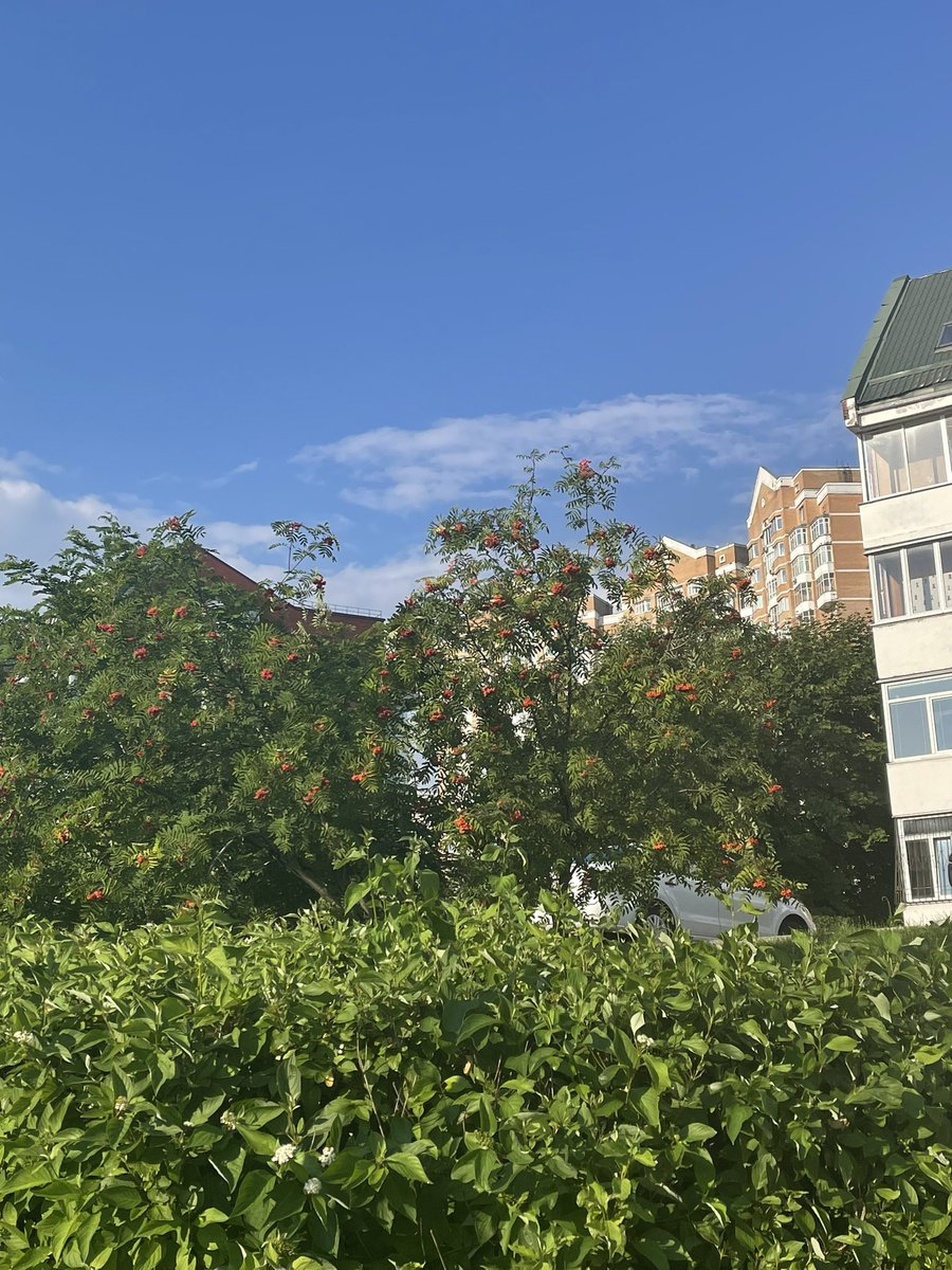 Фикус🍃 tweet media