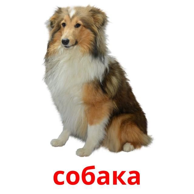 лена юни⁷ tweet media