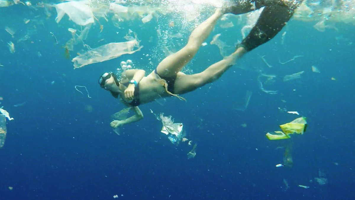 optimotcat's tweet photo. Si sou a la costa potser heu hagut de fer...

brutmarinisme 😔
nom m.
Modalitat dins el submarinisme en què l'esportista ha d'esquivar deixalles que floten per l'aigua.

#CompostosEstiu https://t.co/pzeMe1LMqu