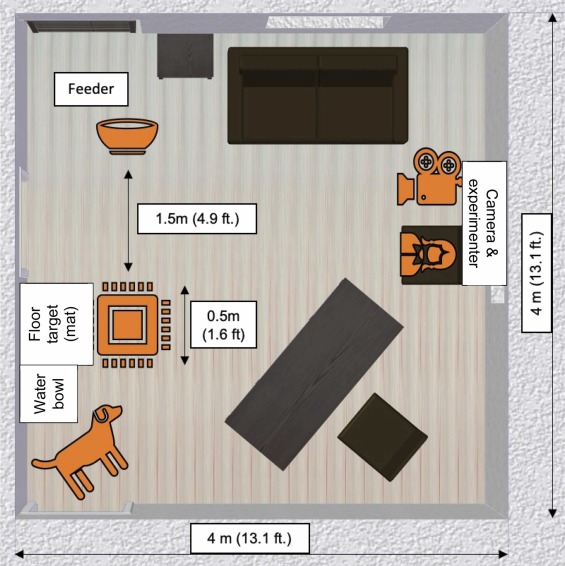 Dog training uses intermittent reinforcement like fixed-time (FT) and fixed-interval (FI). A study on six dogs found varied emotional responses, important for training and well-being. More research needed on emotions in different reinforcement schedules. sciencedirect.com/science/articl…