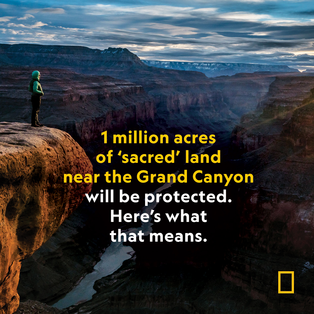 The designation of the land as a national monument by <a href="/POTUS/">President Donald J. Trump</a> will honor Indigenous homelands in northern Arizona and protect the site from further uranium mining 
 on.natgeo.com/3QptfNC