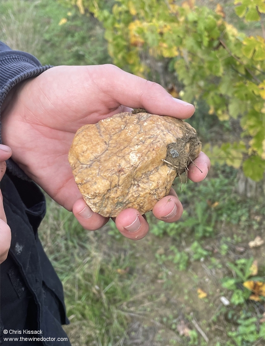 chriswinedoctor's tweet photo. Published today: I visit Domaine de Bablut to taste recent releases as well as 2011, 2002, 1961 &amp; 1944.
https://t.co/yFYcC4N2uC
[subscribers only]
#wine #winetasting #loire #loirewine #fandechenin #anjou #domainedebablut #cabernetdanjou #wineandwar https://t.co/c47b43PNJ6