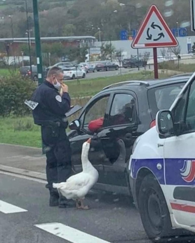Sandford_Police tweet picture