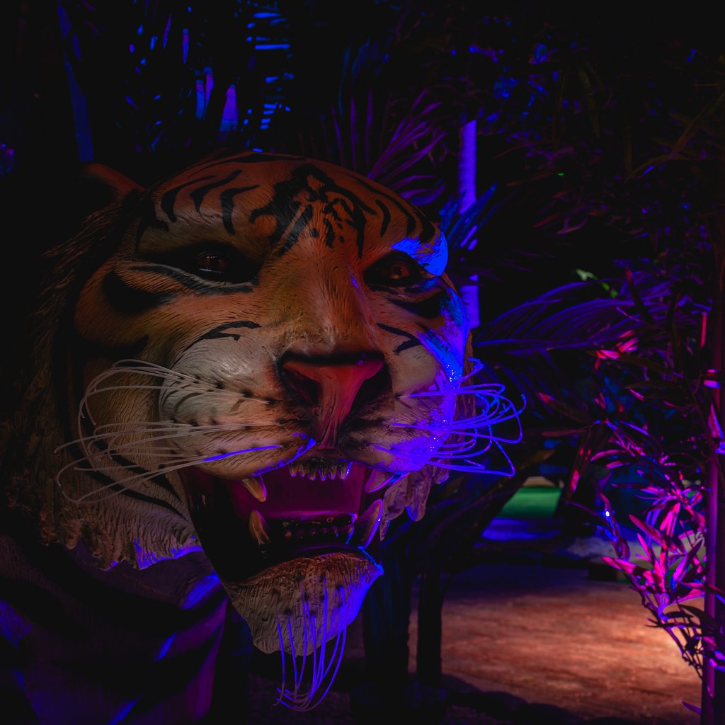 I think its safe to say we are some pretty cool cats here at Lost City Hull... But some cats pack more bite than others!

If you are visiting the jungle today, national cat day, make sure you are nice to any resident cats you may find around the course! It could save you later on