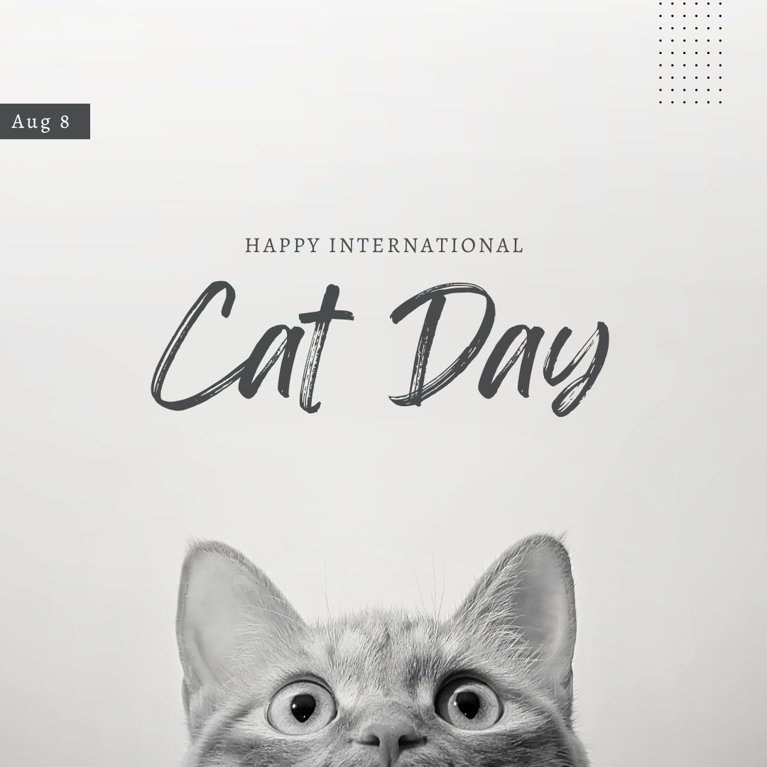 Happy #InternationalCatDay 🐈

To celebrate, we'd love to see your furry little friends, share them below!

#inspiredgloucester #kingswalk #kingswalkglos #glos #shopping #retail #cats #pets #catday #gloucester #gloucestershire
