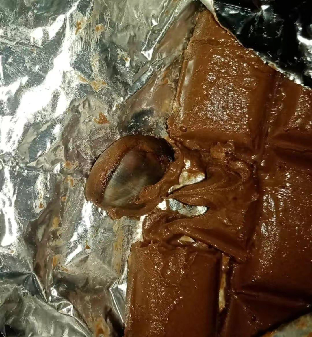 AsyrafRosli_'s tweet photo. This is a reminder to check your food before taking a bite 😭😭😭😭 https://t.co/q3xbJU5nZe