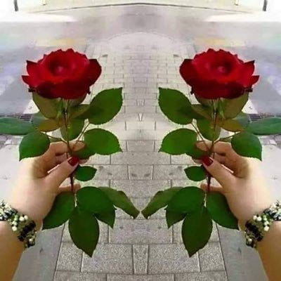 ranimokrgee's tweet photo. #NewProfilePic https://t.co/xDllmfJttu