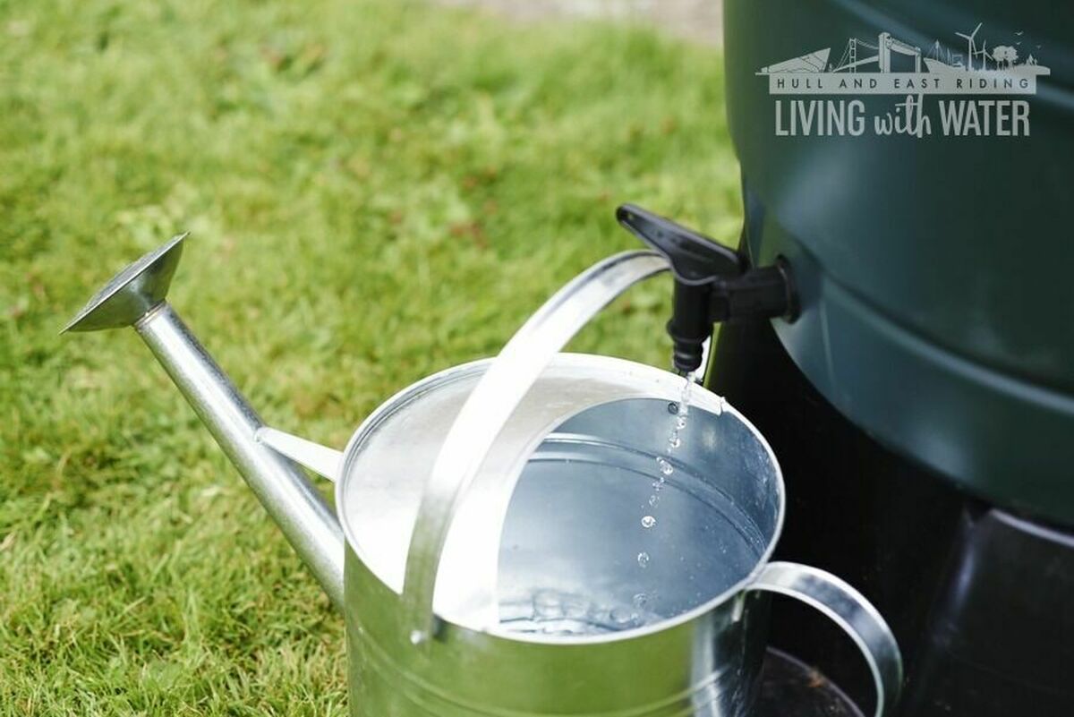 LivingWithH2O's tweet photo. Water butts give you a FREE supply of water. Rainwater has more nutrients than tap water, so your plants will benefit! 🌱🌷
Find out more about savings you can make with a water butt 👉🏼 https://t.co/DPSfJeZWIp
#ProtectYourHome #FloodTips https://t.co/PwvQmb0C6Z