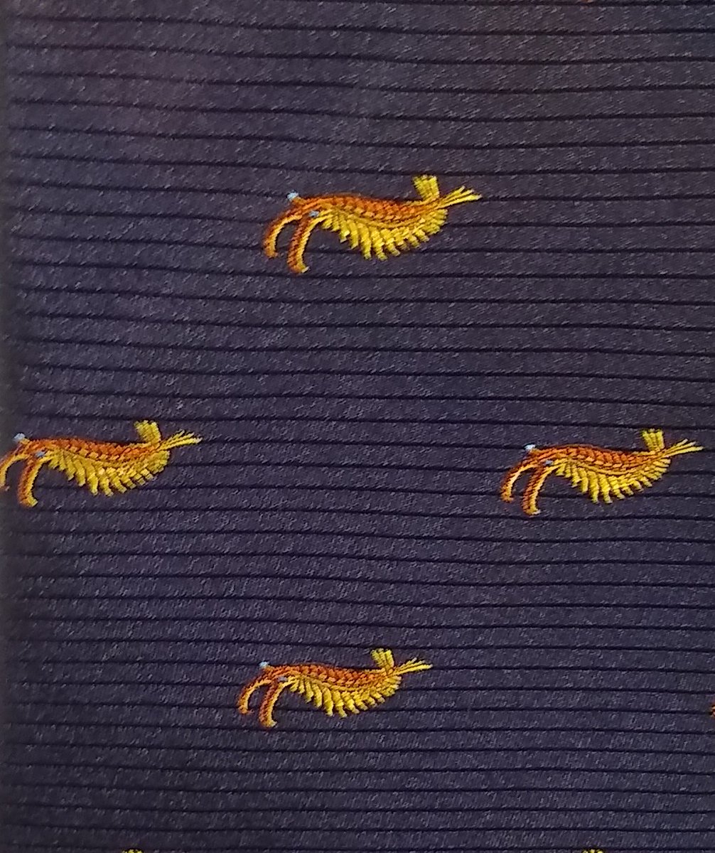 PlLife2's tweet photo. I have a new tie 😁 https://t.co/yrC1UhykDZ
