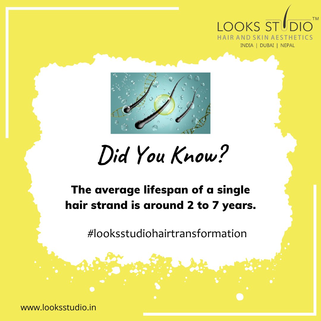 From Bald to Bold: Embracing the Journey of Hair Transformation!

#HairTransplantMagic #HairTransformation #BaldToBold #HairRevival #ConfidentLook #HairJourney #BoldAndBeautiful #HairConfidence #NewBeginning #HairComeback #HairRejuvenation #HairGrowthJourney