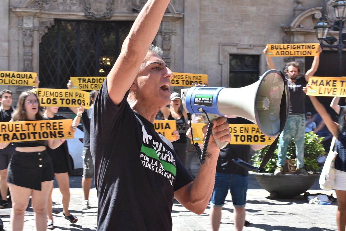 Last Sunday 6th of August @AnimaNaturalis and CAS protested against bullfighting on Mallorca #latorturanoescultura #antibullfighting #antitauromaquia