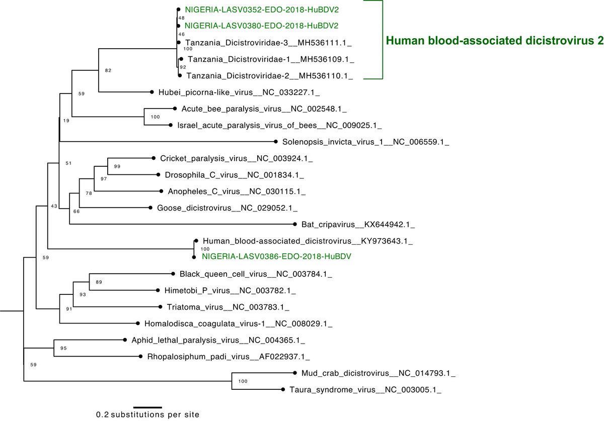 Rhys Parry tweet media
