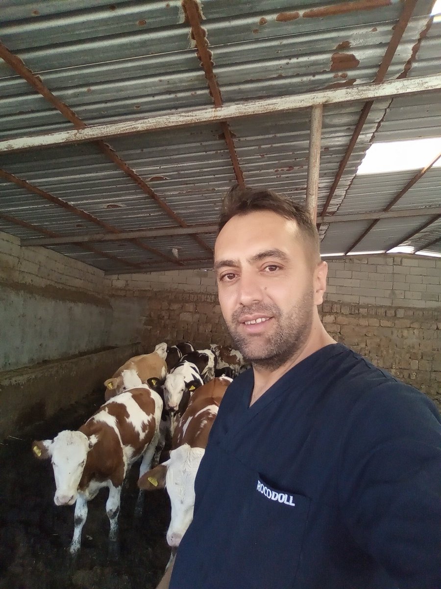 Osman Süsoy (@osmanssoy) on Twitter photo 