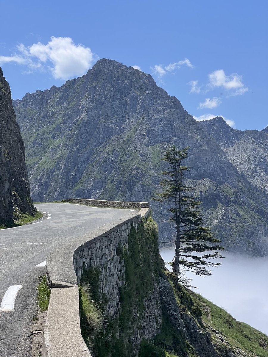 BellaCycling's tweet photo. Mountains are awesome. Going up and down them with a heavy laden bike is equally awesome. Slow yes, but so satisfying. Amazing how much more tou see and feel the landscape when you travel in this way. #bicycletouring #Pyrenees #Tourmalet #Aubisque #RaidPyrenees https://t.co/SKUSHQwZO3