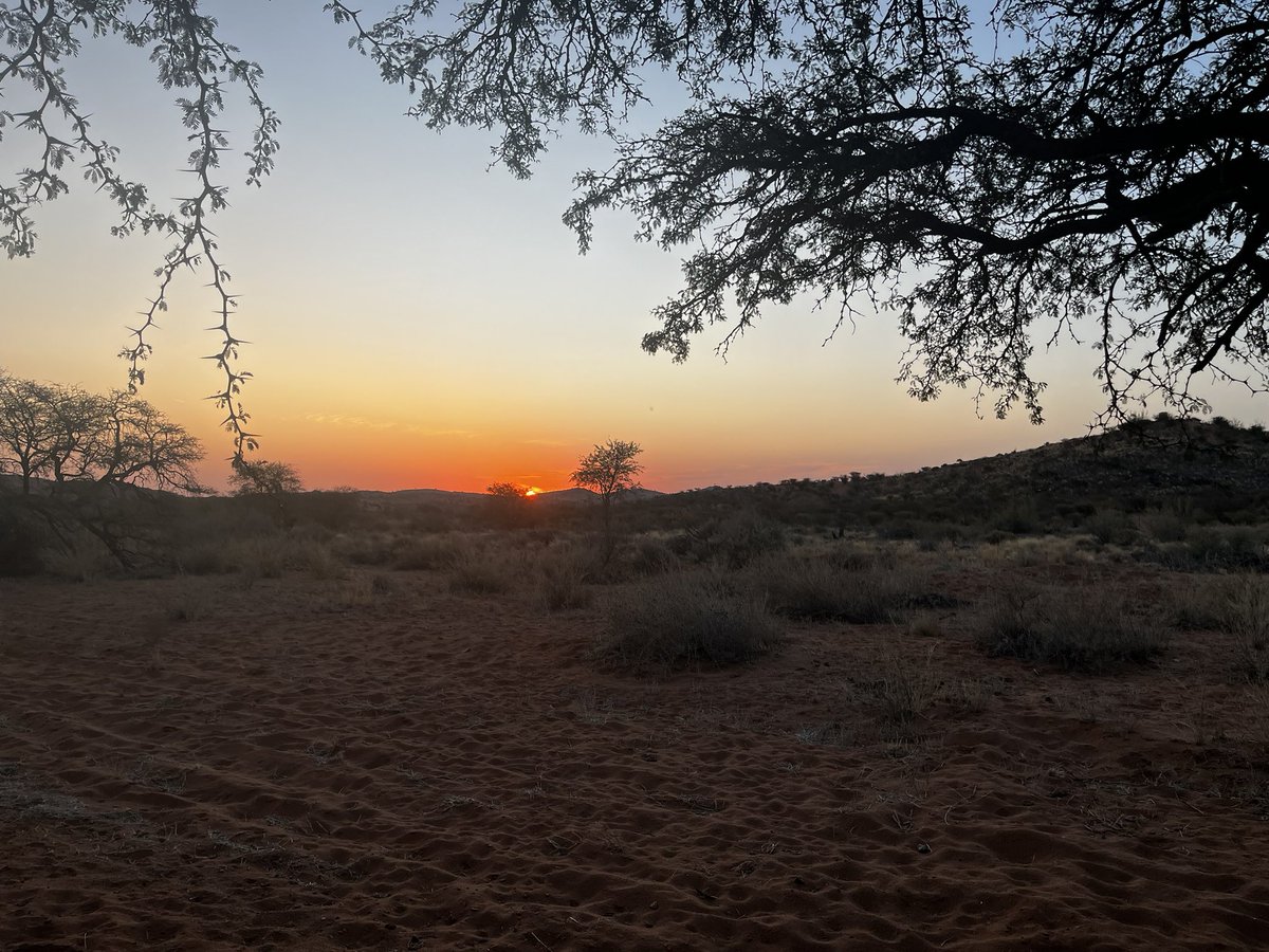 Nico Klaas Barnard (@nicklaas_7) on Twitter photo 