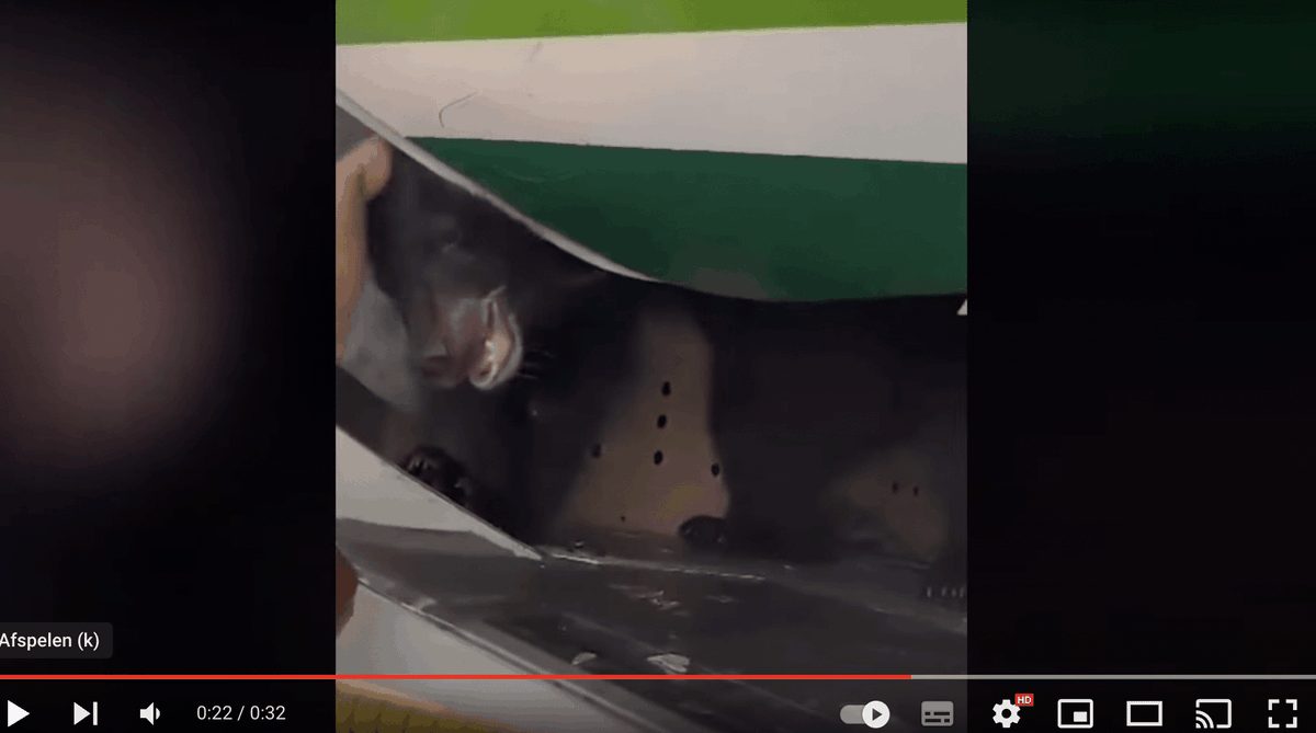 Ontsnapte beer in cargo-ruimte vertraagt vlucht in Dubai - businesstraveller.nl/ontsnapte-beer… #businesstraveller