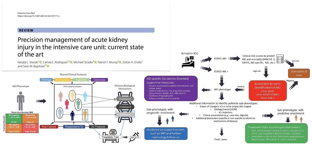 Precision management of #AKI in #ICU
🫘 sub‑phenotypes, endotypes, treatable traits
🫘 acute kidney injury? Heterogeneous syndrome (not disease!)
🫘 identification of sub‑phenotypes
🫘 proposed specific management approaches
🫘 practical recommendations
🖇️ bit.ly/3s4RJl9