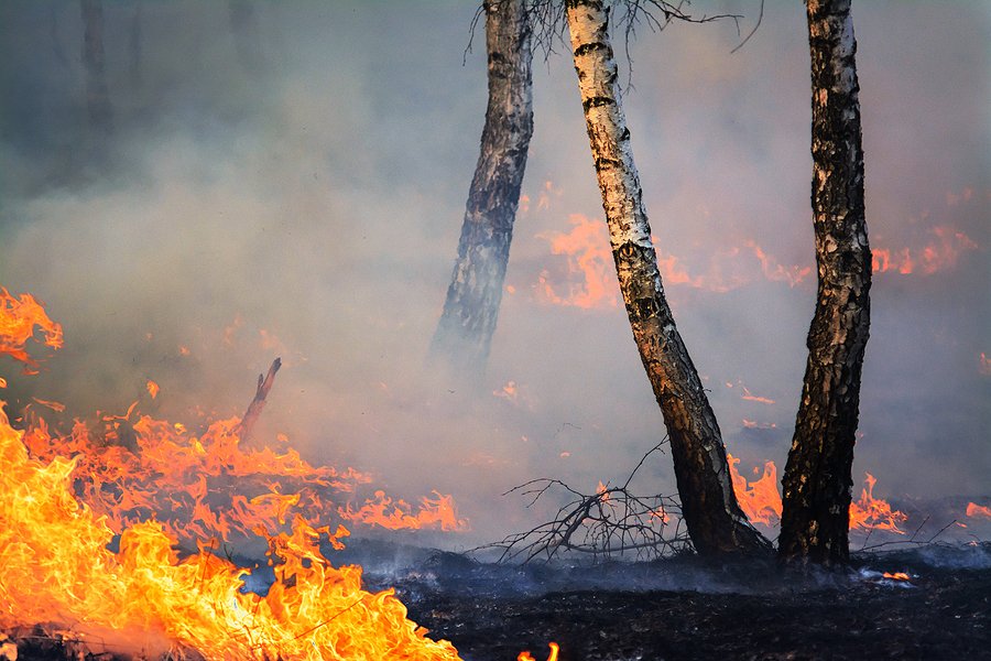 Calling all firefighters! We need your insight on #drones in firefighting. Share your experiences &amp; opinions by taking part in our short survey. Your input will help shape the future of firefighting with drone swarms. Survey link: tinyurl.com/43mmypvt 
#Firefighters
Please RT.