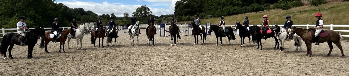 Bryanston Equestrian Centre tweet media