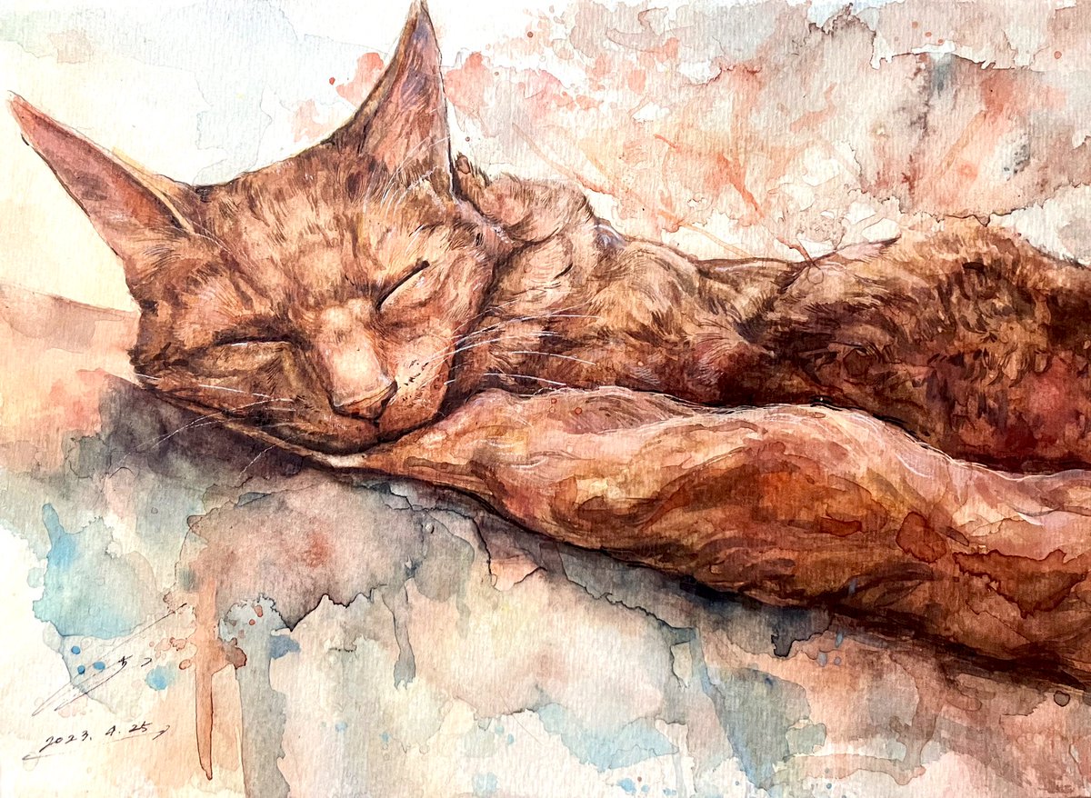 「#世界猫の日  猫は寝てる姿が似合う」|タカハシシオンのイラスト