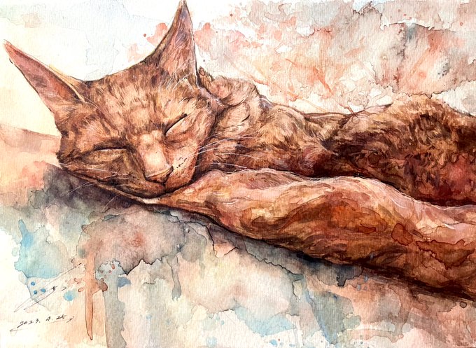 #世界猫の日  猫は寝てる姿が似合う
