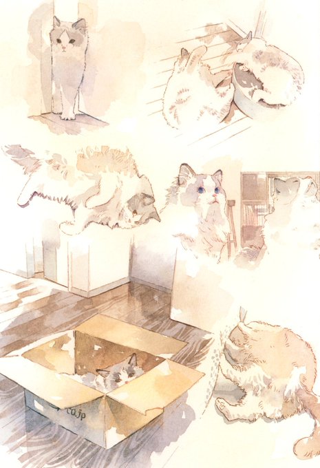 「世界猫の日」のTwitter画像/イラスト(古い順)｜4ページ目)