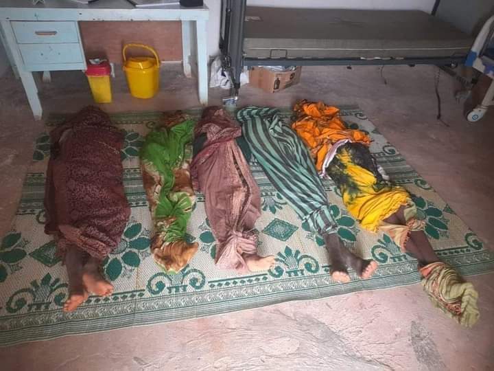 Shantaan wiil ee idiin muuqda waxa ay saaka u jarmaadeen dugsi ay quraanka ka dhigan jireen oo ku yaal tuulo gobolka Galgaduud ah balse nasiib xumo waxaa loo wada laayey aano qabiil.

Waan ka xumahay in aynu heerkaa marayno2023😢.
