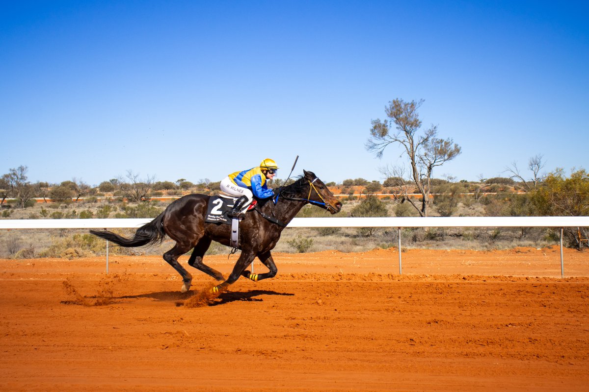 CountryRacingSA's tweet photo. A brilliant day of racing, fashion and friends in the heart of the Australian Outback! The 2023 instalment of the @bhp Roxby Downs Cup was another fantastic day out with plenty of excitement ๐ค ๐๐ฅ
๐ฐ WRAP UP | https://t.co/dEPlBU029Q
#CountryRacingSA #RoxbyDowns #SA https://t.co/O9dBnqcb3d