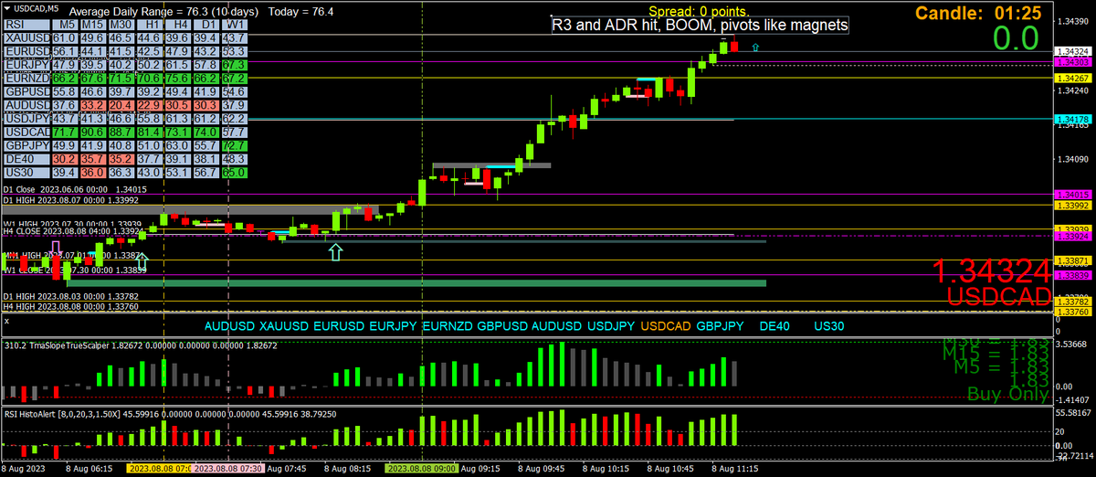 Pivots

Scalpers scalp, pivots are magnets if all our ducks line up  🦆🦆🦆🦆🦆🦆😍😍