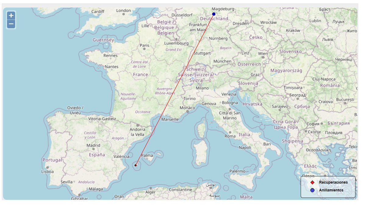Anillamiento_SEO tweet media