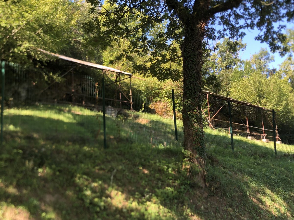 Amélie Vialet tweet media