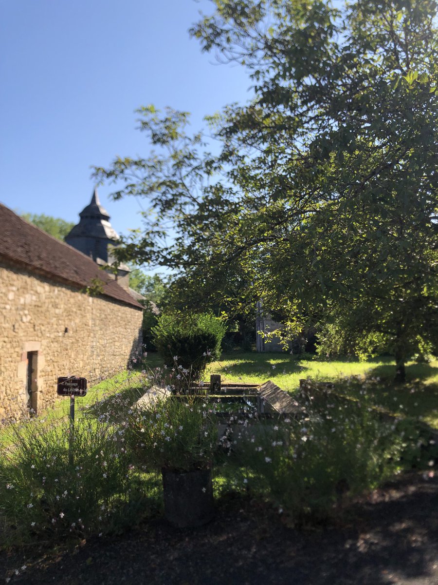 Amélie Vialet tweet media