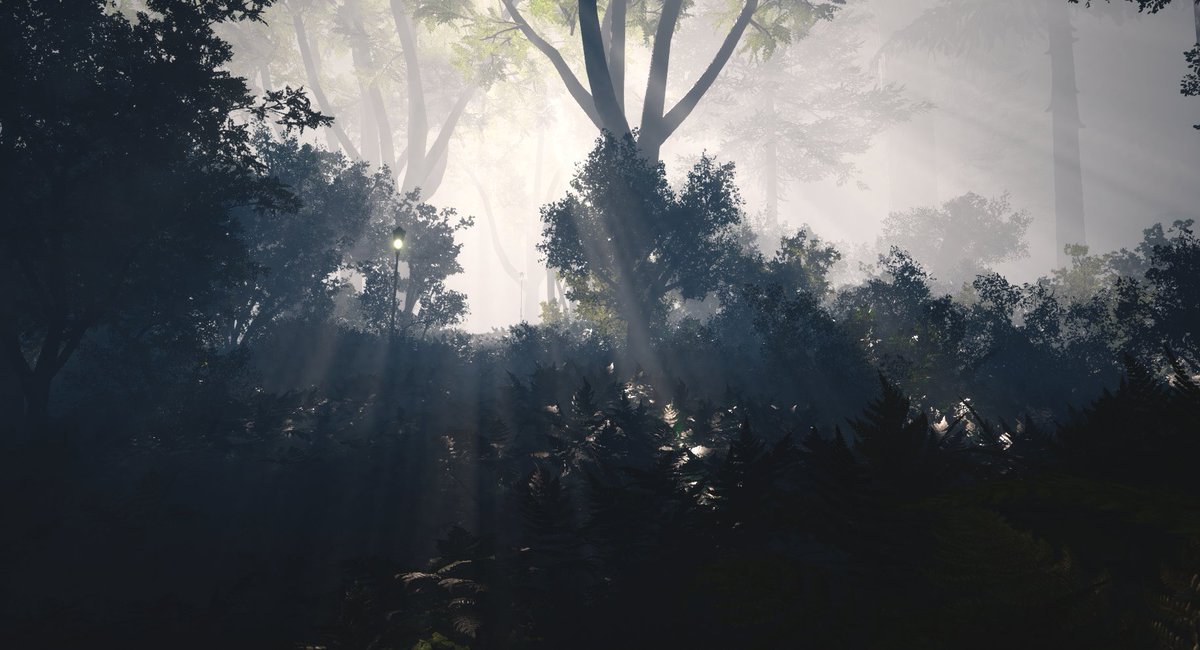 save_tower's tweet photo. Lights & Lamps
#forest #forestlife #nature #darkwoods #naturelovers #naturelover #forestlovers #awesomeplaces #hiddenplaces #secretplaces #coolplaces #abandonedplaces #lostplaces #beautifulplaces #places #magicplaces #game #pc #pcgaming #pnkxfam #openworld #survivalgame https://t.co/mfYxJIqo1n