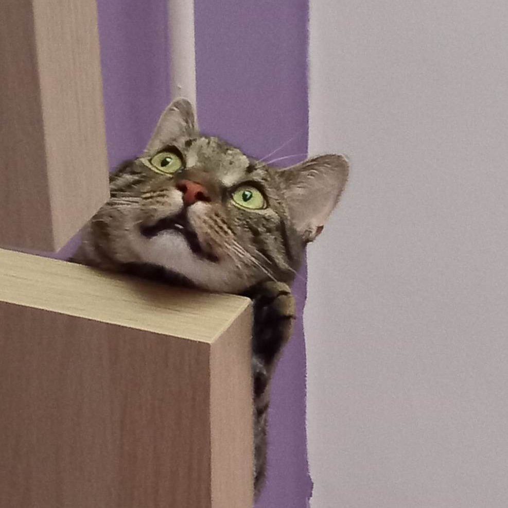 ceca_art's tweet photo. Silly~~ https://t.co/u6cfozulKR