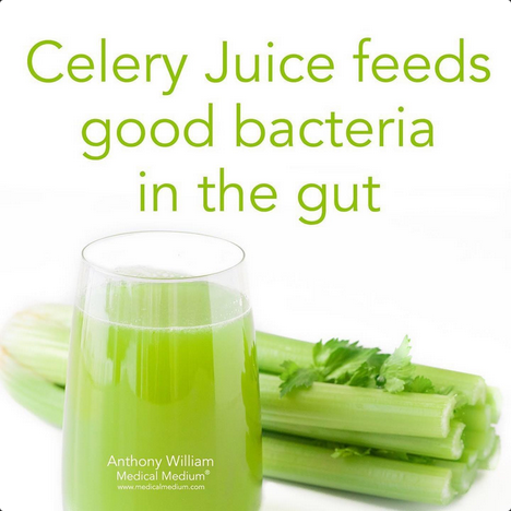 144Health's tweet image. #Celery Juice feeds good bacteria in the gut