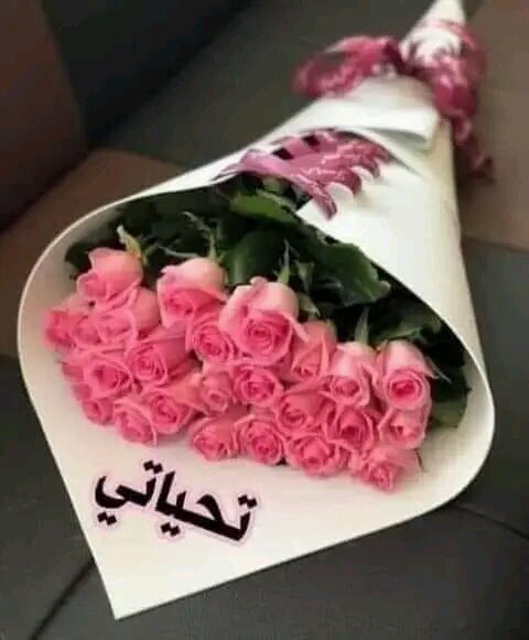 ♕📵⚜️ هــنــا 💯💢 tweet media