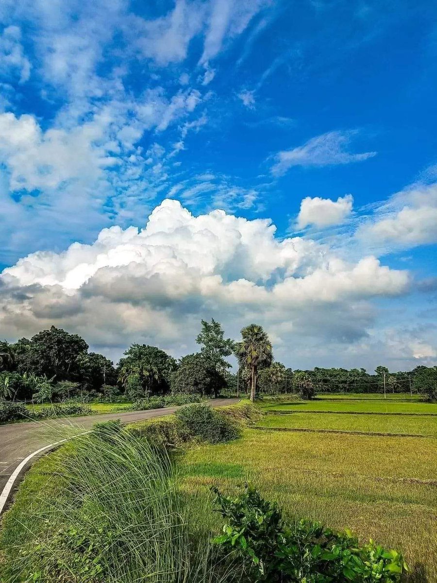 jakirhonline's tweet photo. একটি প্রকৃতির কত সুন্দর । 🥰
📌
#naturalbeauty #naturelover #naturephotography
#nature #natural #view #viralpost #beautiful #bluesky #beautifulweather #weather #village #beatifulview #beautifulvillage
#jakirhossainonline https://t.co/37fY3W9Fqq