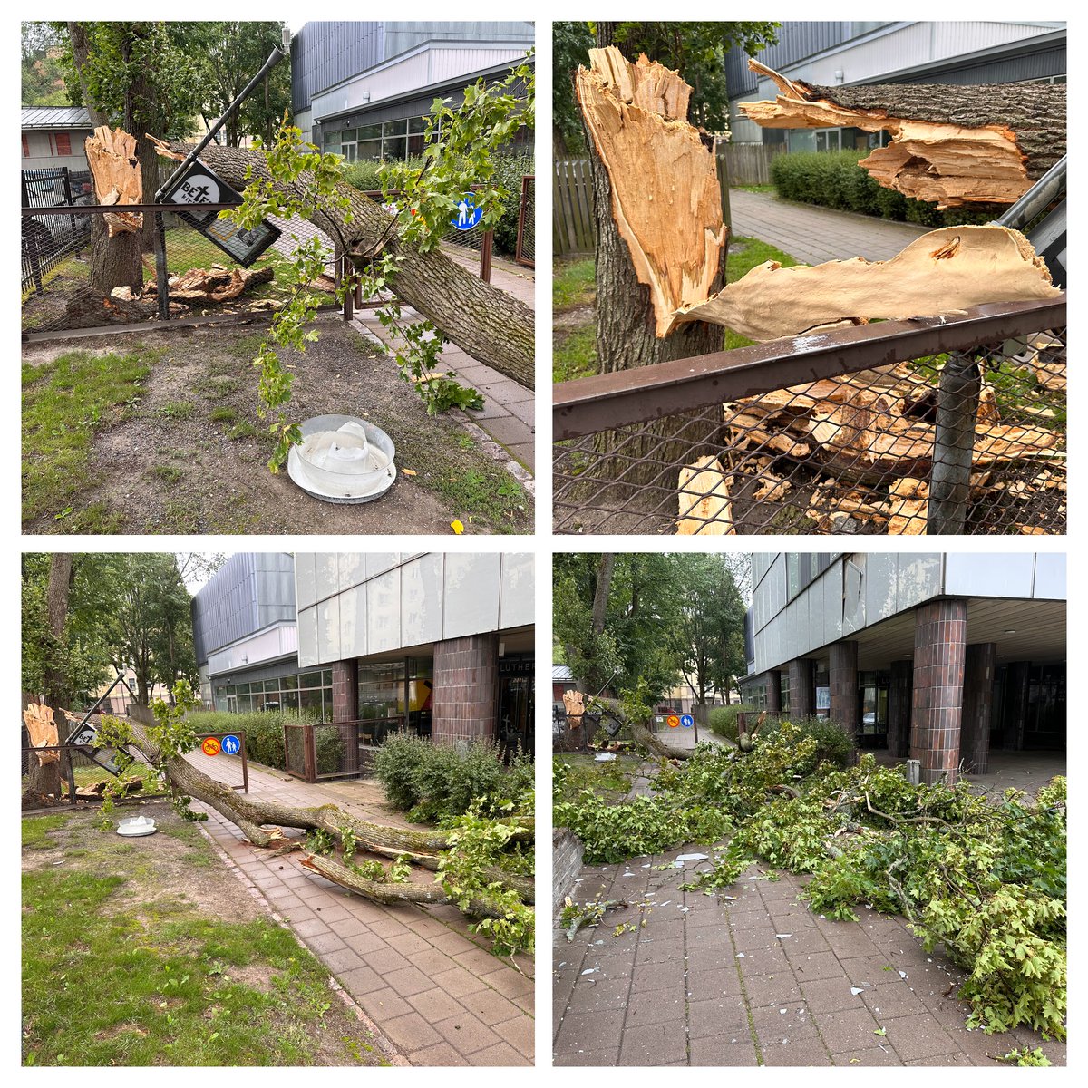 Mike Laaksonen tweet media