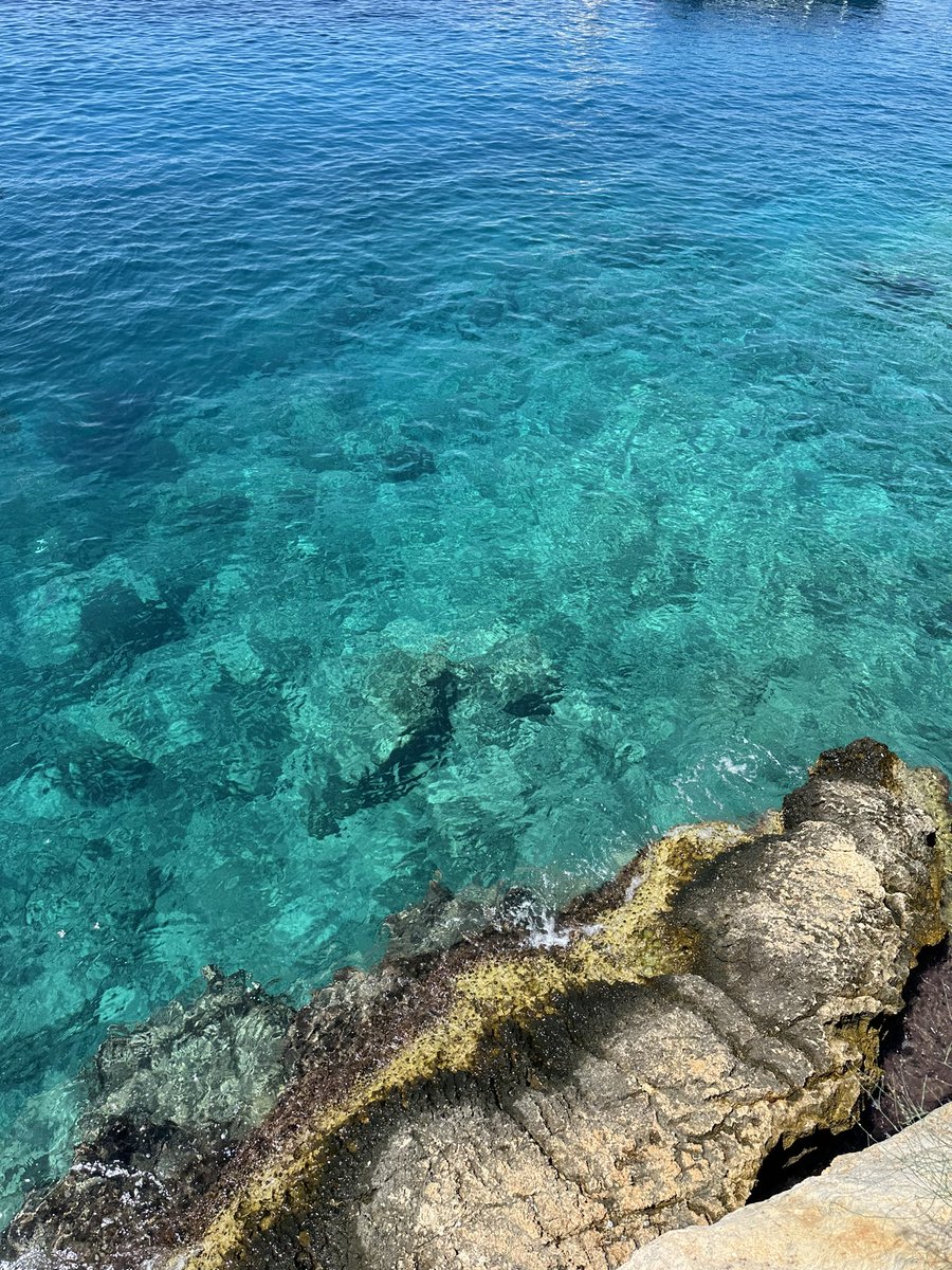 gm, today is the day ☀️