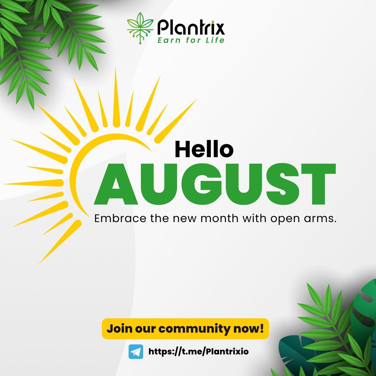 Plantrix_io's tweet photo. 🌱🌞 Happy August, Plantrix Community! 🌞🌱

🌿💫 As we step into a new month, we're filled with excitement for what's to come. With our green thumbs and innovative minds, let's cultivate growth, prosperity, and boundless success. 🌾🚀

✅ Join our Telegram Community: https://t.co/TPkF5AqIs9
✅ Follow Plantrix social media channels here: https://t.co/iTqY4wowNy

#HappyAugust #NewMonthNewOpportunities #CultivatingSuccess #ProsperityAhead #PlantrixCommunity